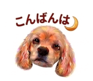 841813171