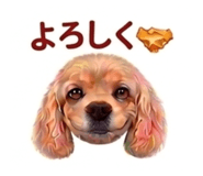 841813178