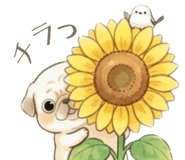 841813572