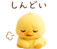 841813731