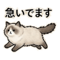 841814015
