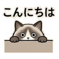841814017