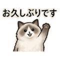 841814020