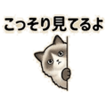 841814033