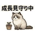841814034