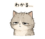 841814106
