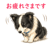 841814113