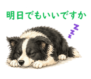 841814123