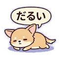 841814313