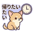 841814317