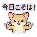 841814320