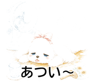 841815953