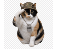 841817198