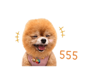841818692