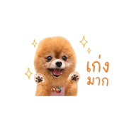 841818697