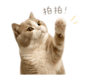 841821312