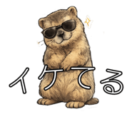 841822024
