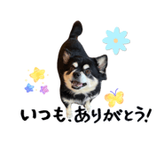 841822205