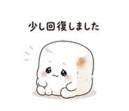841822810