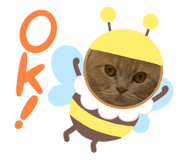 841823024