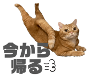 841823027