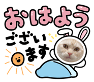 841823037