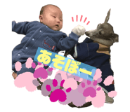 841823462