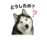 841823945