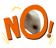 841824227