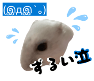 841824228