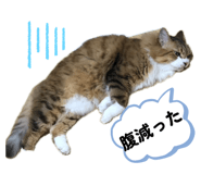 841824244