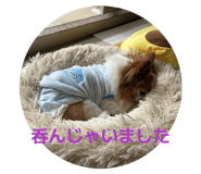 841824377