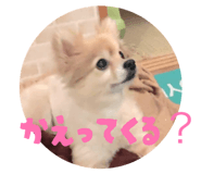 841824389
