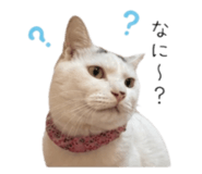 841824516