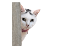 841824536
