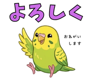 841825506