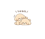841826250