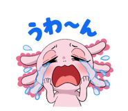 841827262