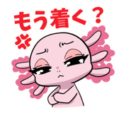 841827264