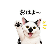 841828801