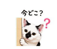 841828807