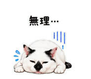 841828810