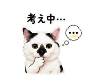 841828814