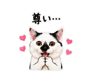 841828816