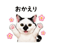 841828823