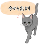 841829703