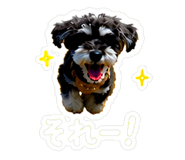 841830158