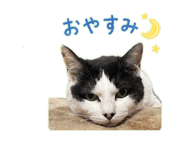 841836883