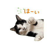 841836889