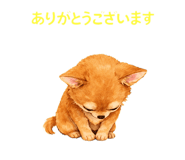 841840914